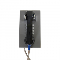 Termit PublicPhone AHS100FK-IP