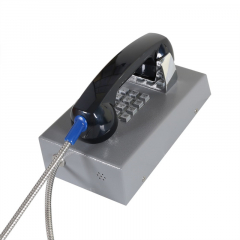 Termit PublicPhone AHS100FK-IP