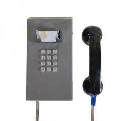 Termit PublicPhone AHS100FK-IP