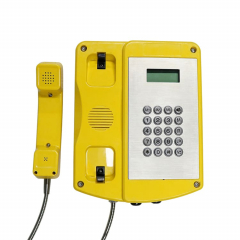 Termit PublicPhone XHS200FK-IP